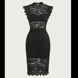 Elegant Black Lace Paneled Overlay Bodycon Midi Form Fitting Dress Reg Plus